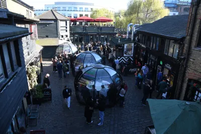 DSC_6818 (Large).JPG